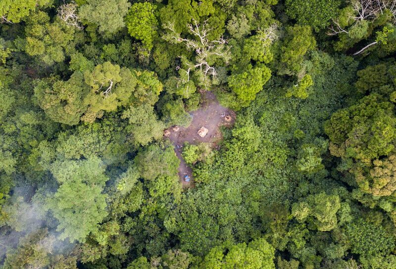 UK, FAO team up for £24.5 m program to accelerate anti-deforestation efforts