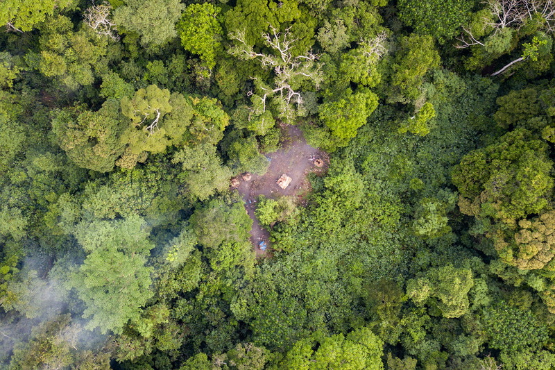 UK, FAO team up for £24.5 m program to accelerate anti-deforestation efforts