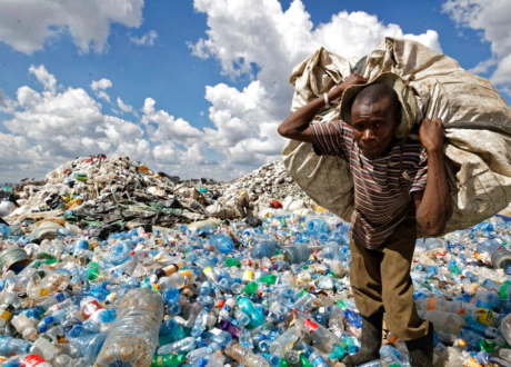 UNEP urges imposing taxes to deter production, use of single-use plastic products