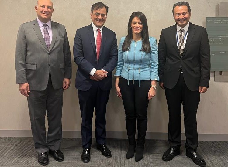 «المشاط»: الرقمنة والابتكار محورًا رئيسيًا في الشراكات الدولية