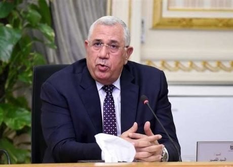 Egypt plants 1.3 million trees in seven governorates