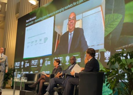 Mohieldin urges applying ESG standards on private sector to prevent greenwashing