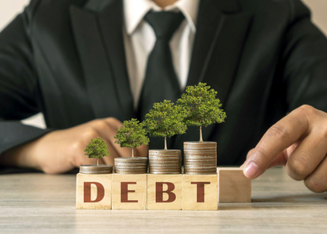 Mashat urges world push for debt-for-nature, debt-for-energy transition swaps