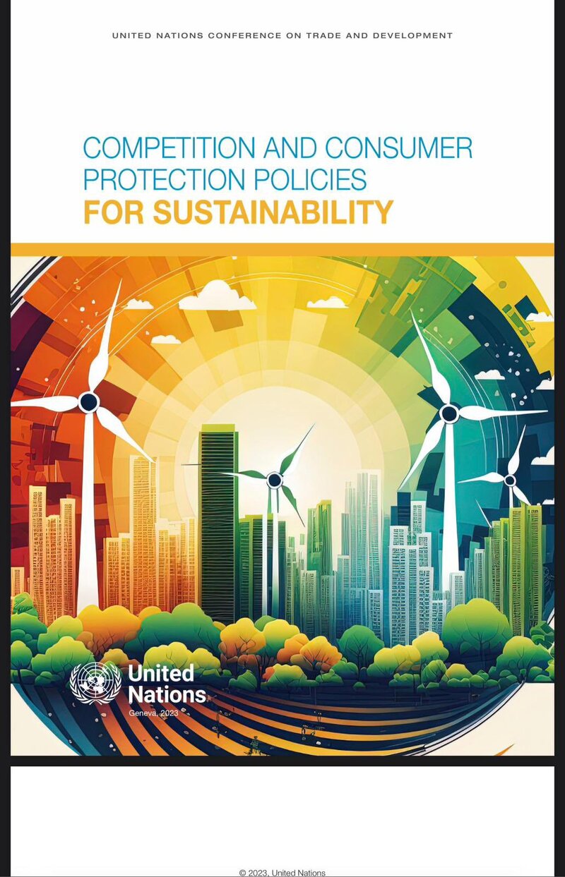 UNCTAD report highlights Egyptian initiative for sustainability-related education of consumer