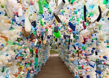 UNDP, Rare team up for plastic waste management, behavior change