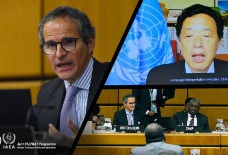 IAEA chief: IAEA, FAO working for global food security, sustainable agricultural development