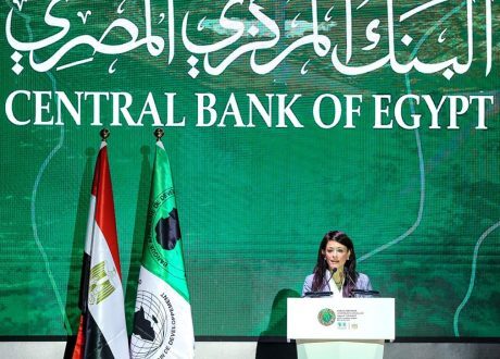 «المشاط»: العالم يحتاج أكثر من 100 مليار دولار سنويًا لتحفيز العمل المناخي والتحول الأخضر