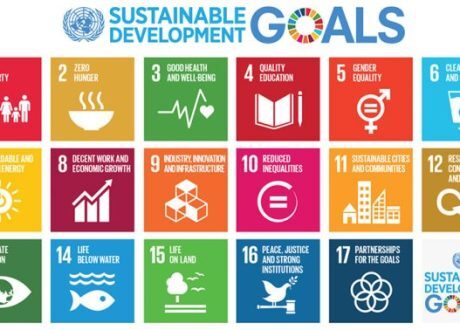 Egypt ranks 81st among 166 countries in Sustainable Development Report