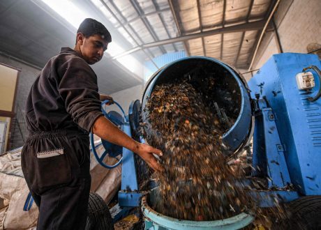 Egypt tops Arab states on Yale University’s EPI 2022 on recycling