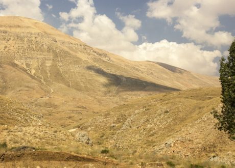 Lebanon’s “Shade for Life” project focuses on planting clusters of up to 150 large trees