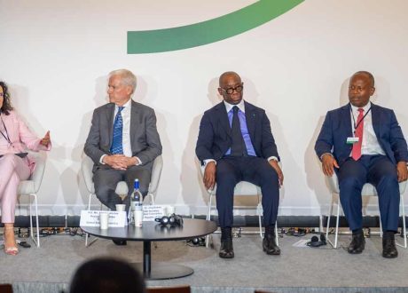 Philanthropist Gallogly grants $ 5 m to Alliance for Green Infrastructure in Africa