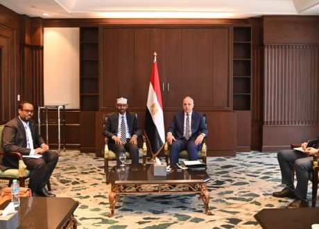 وزير الري يؤكد حرص مصر على للتعاون بين الدول الأفريقية وخلق مصالح مشتركة