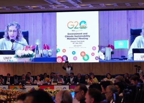 Andersen urges G20 to play key role in just transition to world of peace, prosperity, harmony with nature