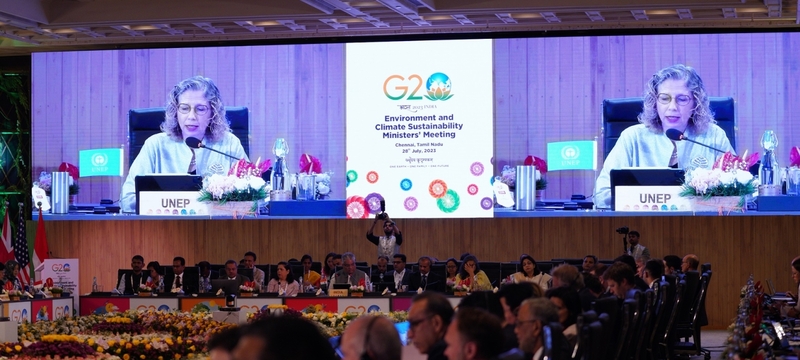 Andersen urges G20 to play key role in just transition to world of peace, prosperity, harmony with nature