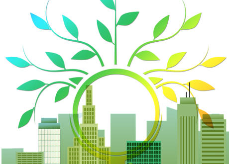 Cairo, Mansoura universities won 1st position in best ‘Best Eco-friendly University’ competition
