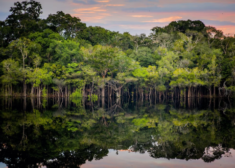 Bezos Earth Fund grants $ 50 m for Amazon’s sustainable development