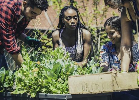 Bezos Fund pledges $400 m for greening underserved US communities