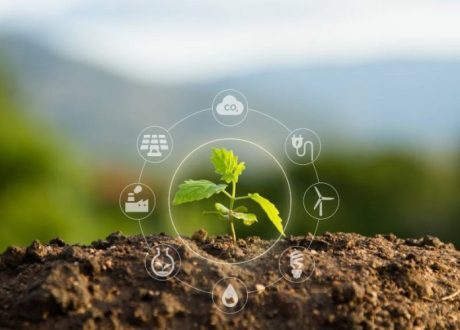 UNEP: Policymakers can create proper climate for pro-planet investments