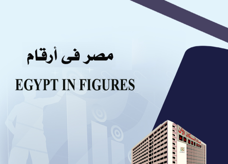  “Egypt in Figures 2023″ Booklet includes key sustainable development indicators
