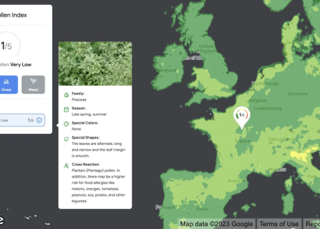 New Google Maps sustainability tools to help access up-to-date environmental information