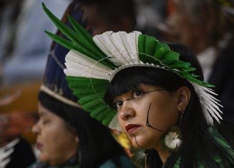 UNEP report: Indigenous Peoples’ climate lawsuits have “limited success” at courts, better chance before UN bodies