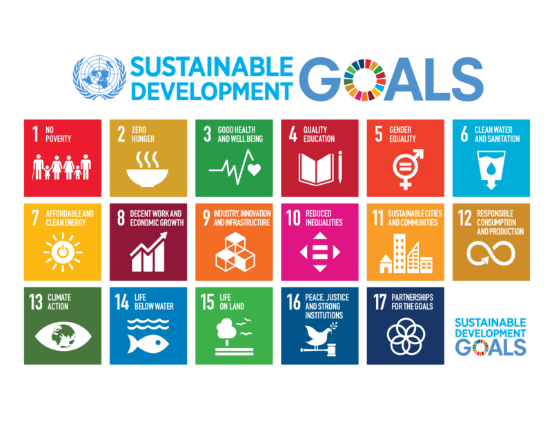 UNDP, ISO partner to promote int’l standards to advance SDGs action, document progress
