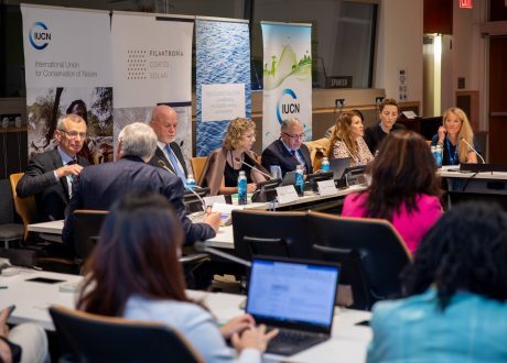 UNEP chief urges “better, faster” philanthropy in three key sustainability areas