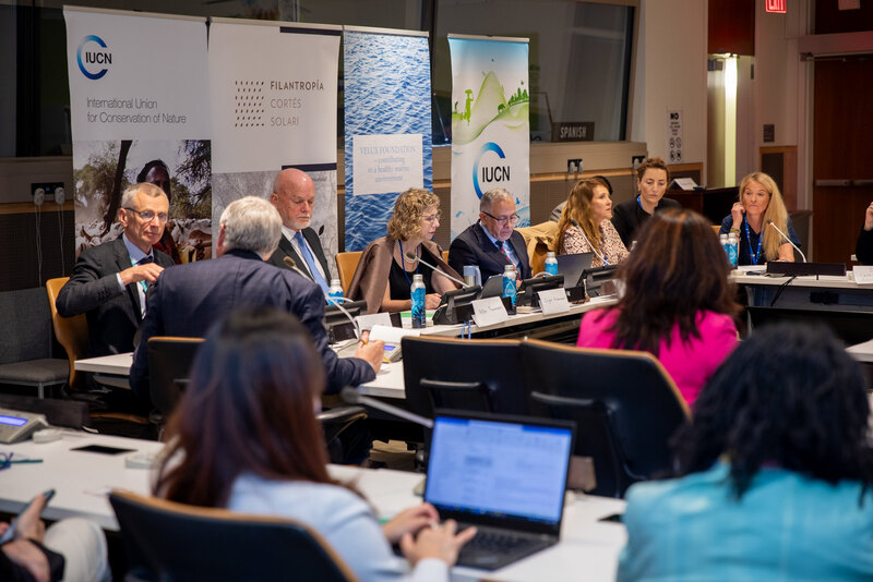 UNEP chief urges “better, faster” philanthropy in three key sustainability areas