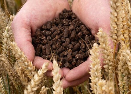 Nestlé UK piloting innovative use of cocoa shells as low-carbon fertilizers