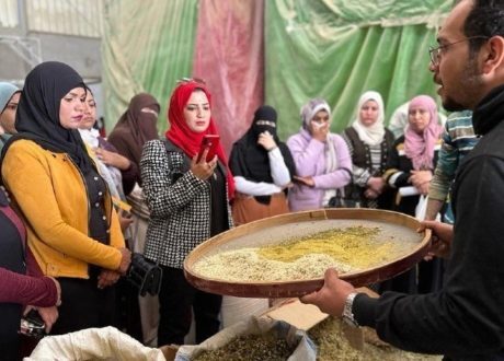 UN-run Rabeha program backs 300 rural women in 3 governorates in 11 months