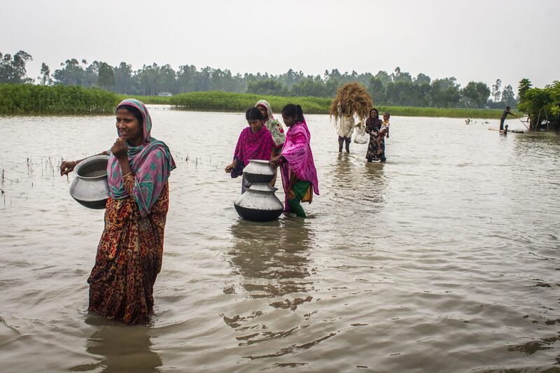 $3.8 trln worth crops, livestock lost over disasters impact – FAO report