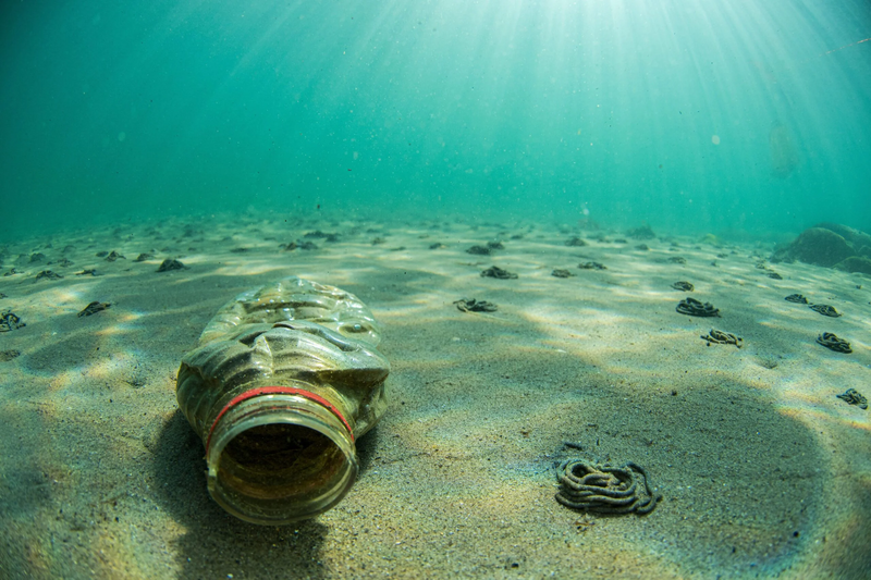 ​​Report:10% rise in reusable packaging could eliminate over 1 trln single-use plastic bottles, cups