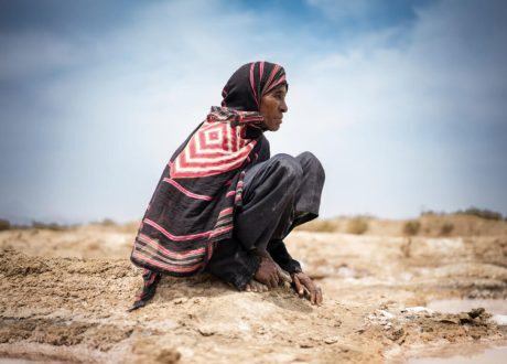COP28 declaration seeks collective commitment to boost climate action, investment