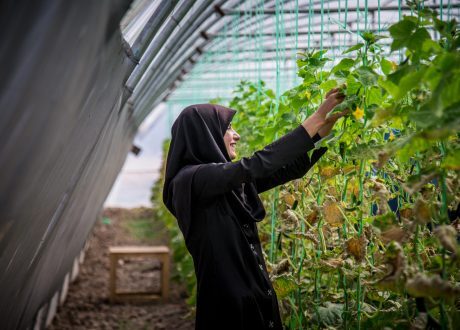 Canada contributes CAD 40 m to back UNDP efforts