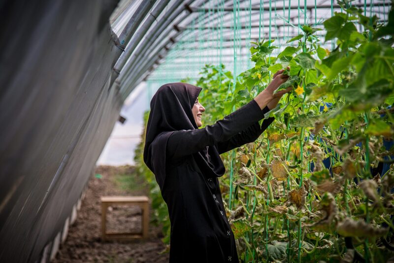 Canada contributes CAD 40 m to back UNDP efforts