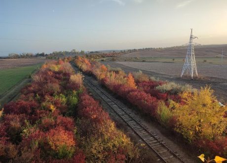 EIB earmarks €20.4 bn for sustainable development projects