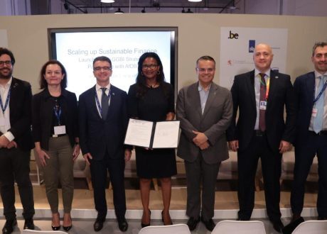 GGBI coalition, AfDB team up to promote green bond markets in Africa