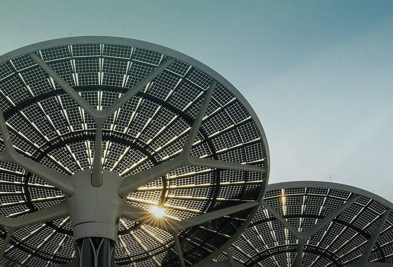 العدد السابع – ديسمبر 2023