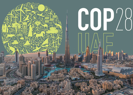 Over $7.1 bn mobilized during COP28 for climate positive action in food sector