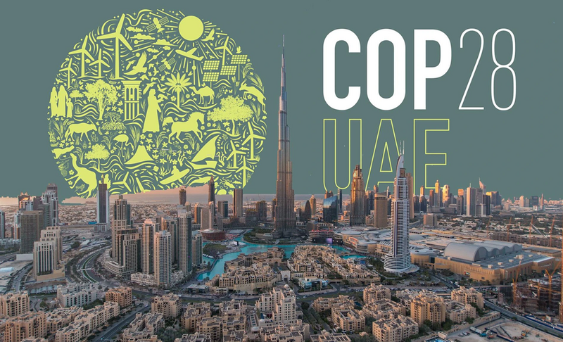 Over $7.1 bn mobilized during COP28 for climate positive action in food sector