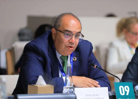 Mohieldin urges activating debt swaps to finance climate action in developing countries