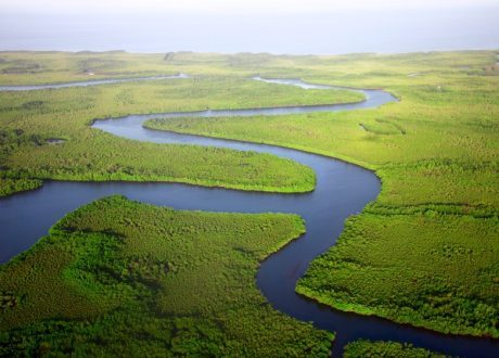 Review of key environmental moments, studies in 2023