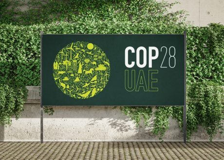 Over $ 48 bn pledges, contributions at COP28 for climate, energy, health, water