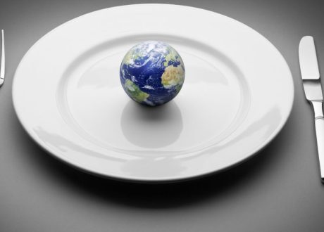 Analysis: Transforming food system to realize benefits of $ 10 trln, save 174 million lives