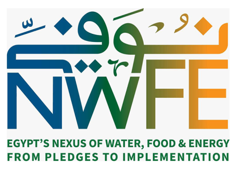 World Bank official: NWFE helps Egypt confront climate change, become more competitive globally