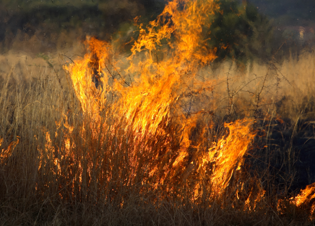 Research:40% rise in Africa wildfire over past 4 decades..aerosols play key role
