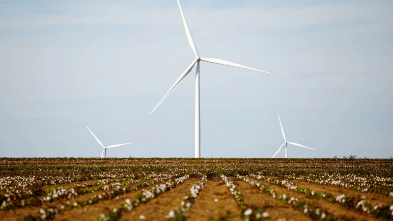 Amazon’s over 500 solar, wind projects enough to power 7.2 mln U.S. homes
