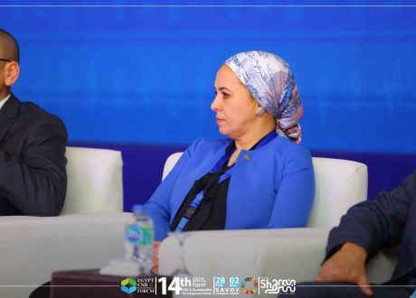 Radwa Ahmed: Mountain View’s strategy based on sustainability