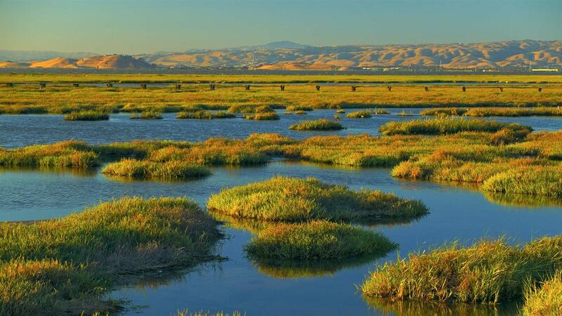 New Copernicus tool to back wetlands protection efforts