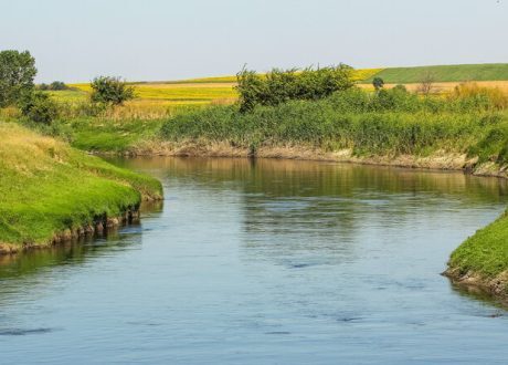 SWAIN project aims to create early warning system from micropollutant spills in rivers
